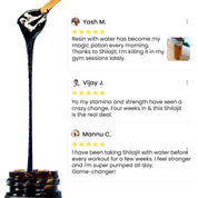 HPS20-IN HPS20X2-IN HPS20X3-IN