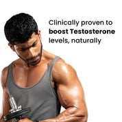 HPS20-IN HPS20X2-IN HPS20X3-IN