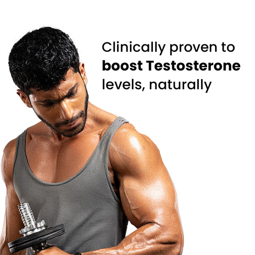 HPS20-IN HPS20X2-IN HPS20X3-IN