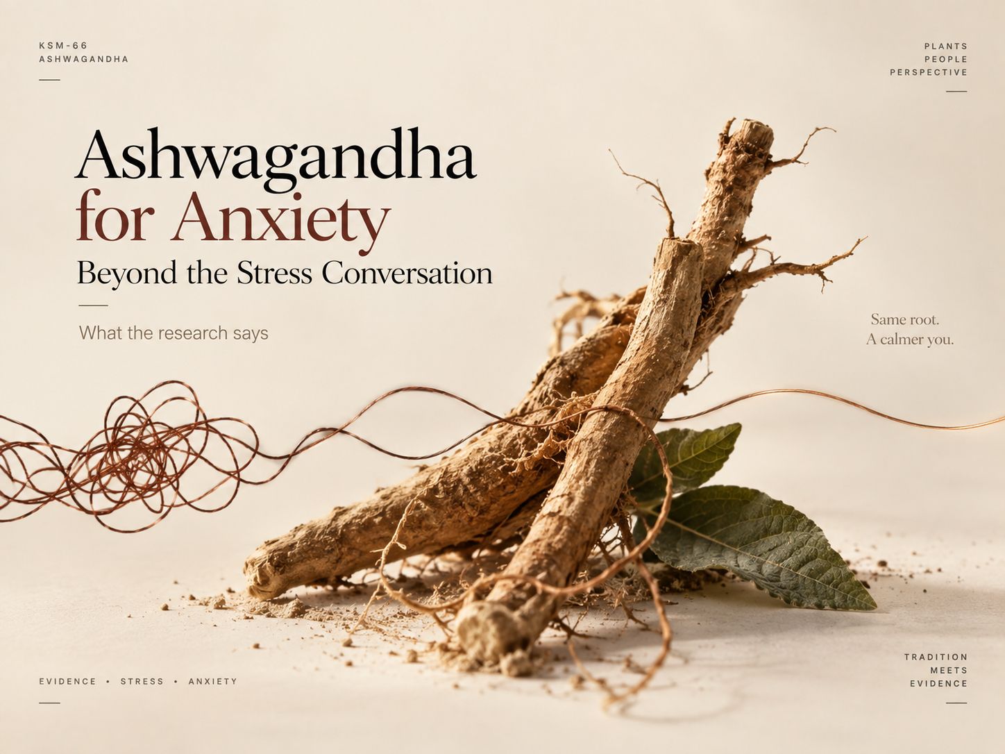 Ashwagandha for anxiety: what the research says beyond the stress conversation