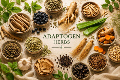 Adaptogens: India invented the concept and shilajit and ashwagandha are still the best