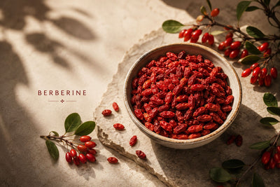 The berberine mechanism that changes everything and nobody is talking about in India