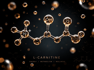 L-Carnitine: the compound that completes your fat burn at the cellular level