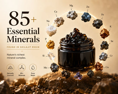 Shilajit and the 85+ trace minerals: what they actually do to your body