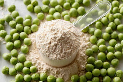 Pea Protein: The Clean, Powerful Plant Protein Transforming Vegetarian Nutrition