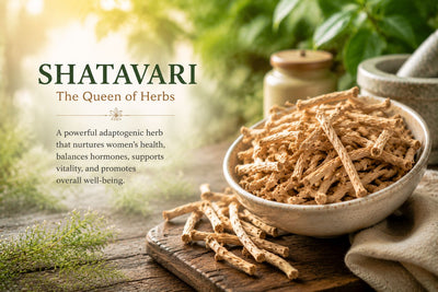 Shatavari: ayurveda's greatest gift to Indian women