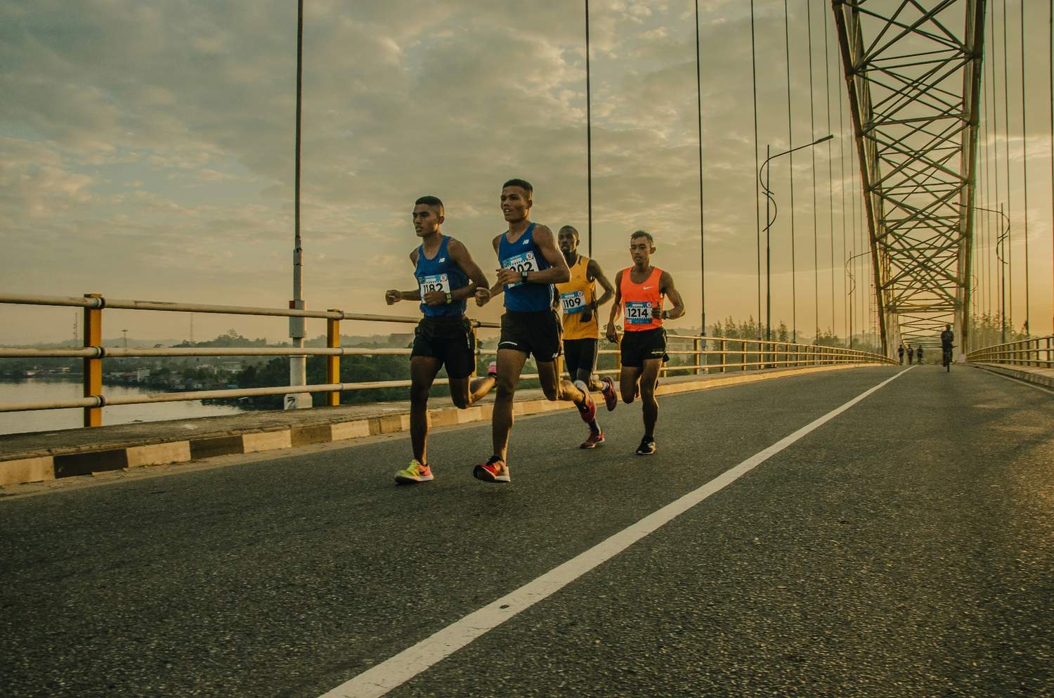 Is Ashwagandha beneficial for athletes?