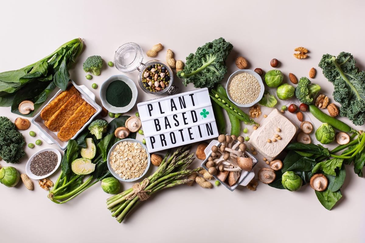 Source of Protein in Vegetarian Diet: The Complete Guide to Building a Protein-Rich Veg Diet