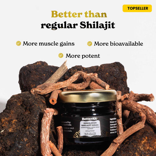 GOLD+ Himalayan Shilajit Resin
