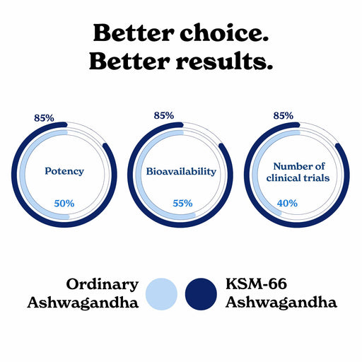 SPES30-IN+AGHSVF30-IN
HSHS30+AGHSVF30-IN
