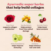 Collagen Builder
