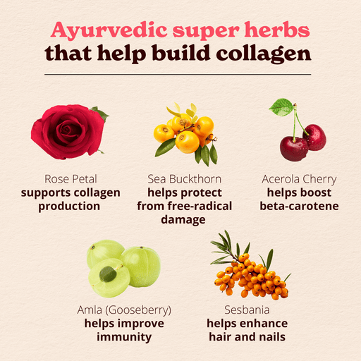 Collagen Builder