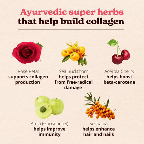 Eternal Collagen Builder