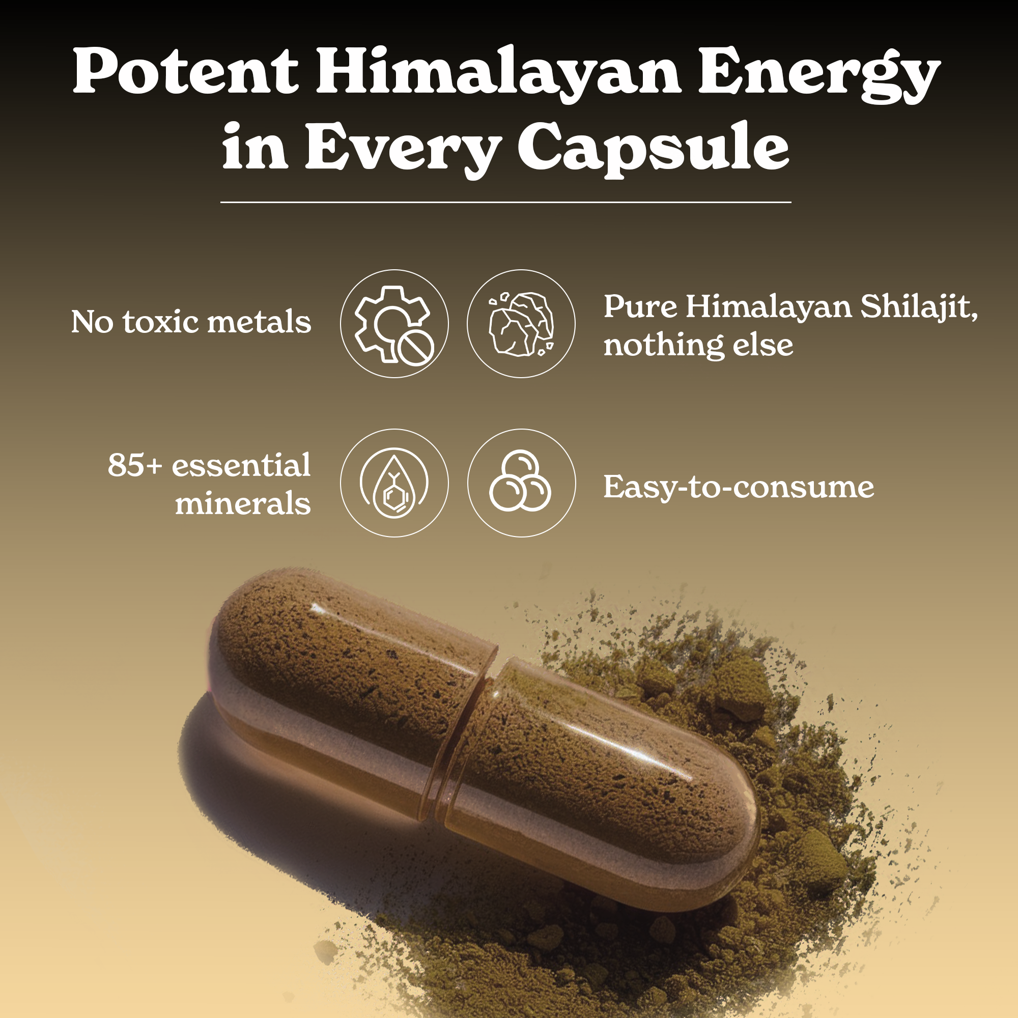 BetterAlt Himalayan Shilajit Capsules