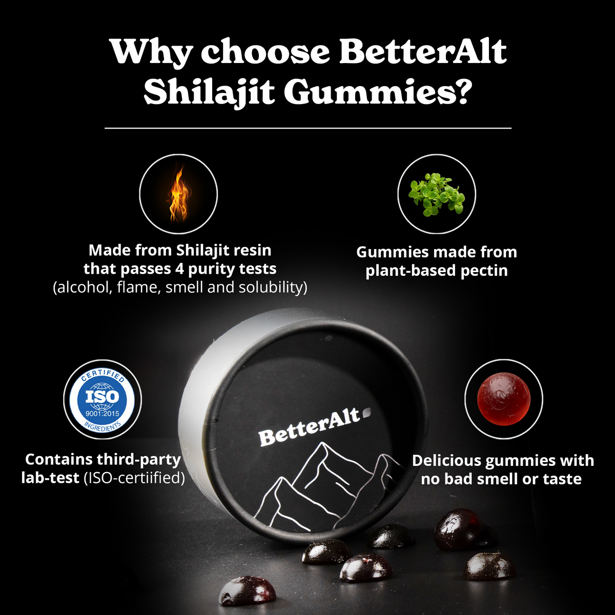 Himalayan Shilajit Gummies – BetterAlt India