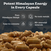 BetterAlt Himalayan Shilajit Capsules