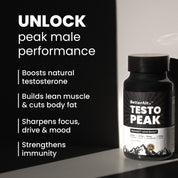 TPTSAC60-IN TPTSAC60X3-IN