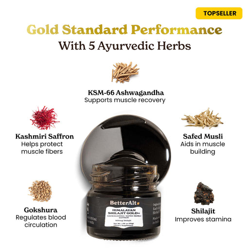GOLD+ Himalayan Shilajit Resin