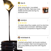 GOLD+ Himalayan Shilajit Resin