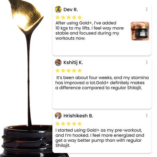 GOLD+ Himalayan Shilajit Resin