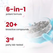 SPES30-IN
SPES30X2-IN
SPES30X3-IN