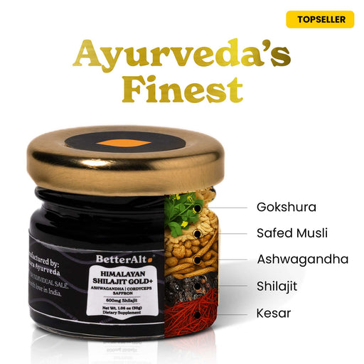 GOLD+ Himalayan Shilajit Resin