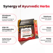 SPES30-IN SPES30X2-IN