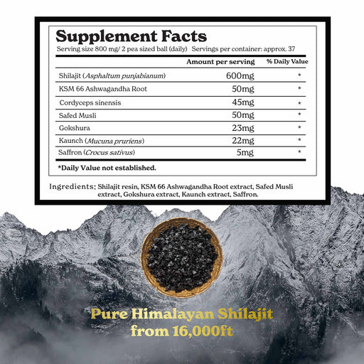 GOLD+ Himalayan Shilajit Resin