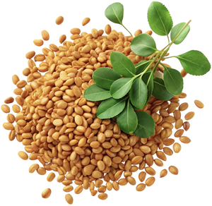 Fenugreek Extract