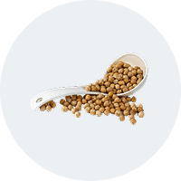 Pea Protein