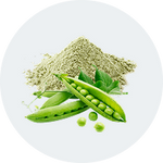 Pea Protein