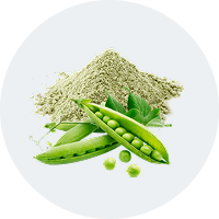 Pea Protein