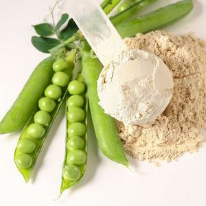 Pea Protein