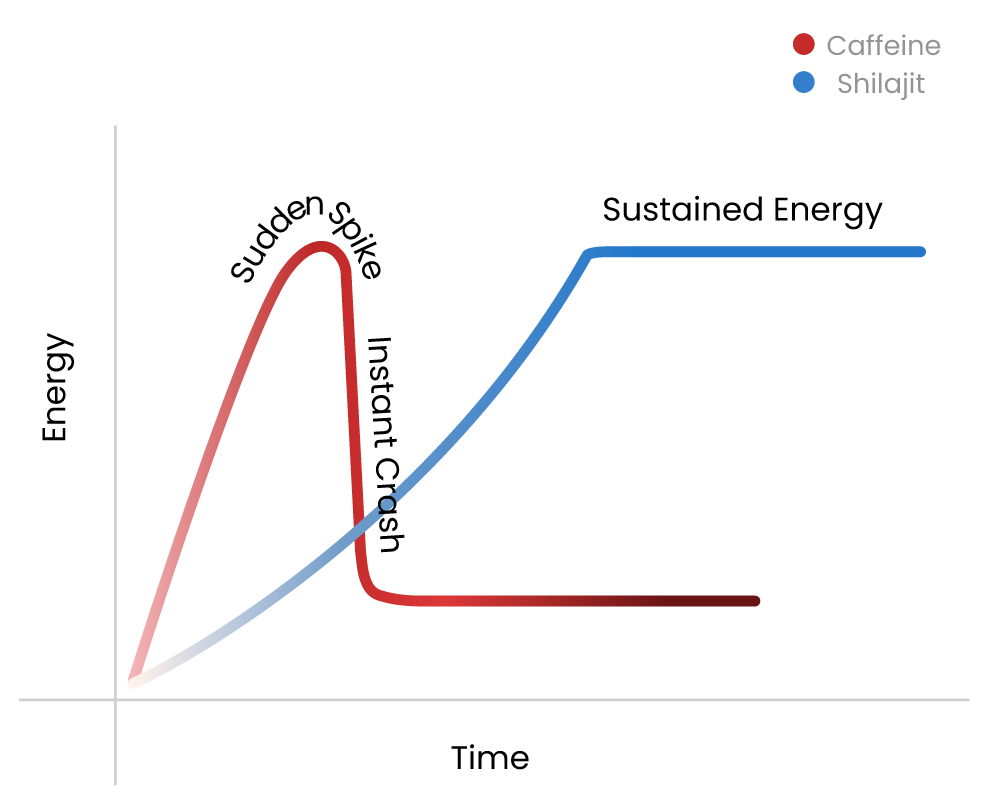 caffeine-vs-shilajit image