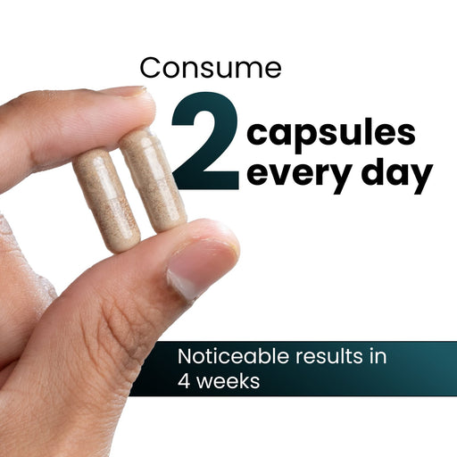 TPTSAC60-IN TPTSAC60X3-IN